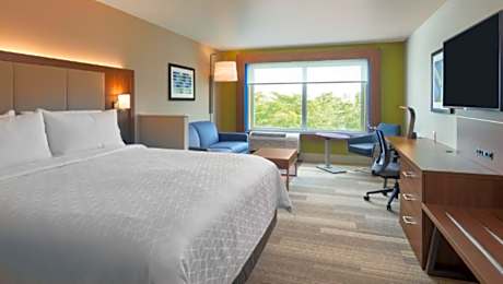 1 King Bed Suite Mobil Accessible Tub