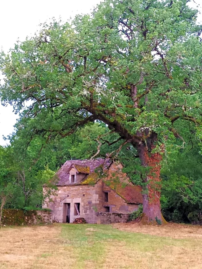 Les granges de l abbaye