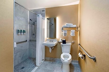 1 KING BED NON-SMOKING MICROWAVE AND MINI-REFRIGERATOR WI-FI FULL BREAKFAST