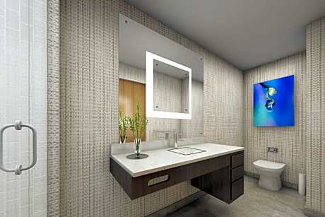 King Suite with Sofa Bed and Roll-in Shower - Mobility Accessible