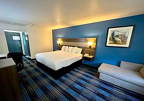 1 King Bed, Mobility/Hearing Accessible Room, Roll-In Shower, Non-Smoking