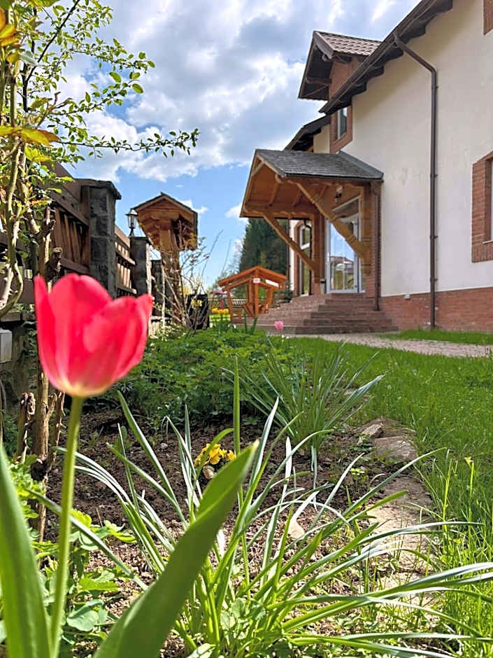 Pensiunea Popas Pop, Strambu-Baiut, Maramures