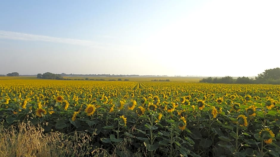 Campagne Océan
