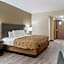 Rodeway Inn Grandville