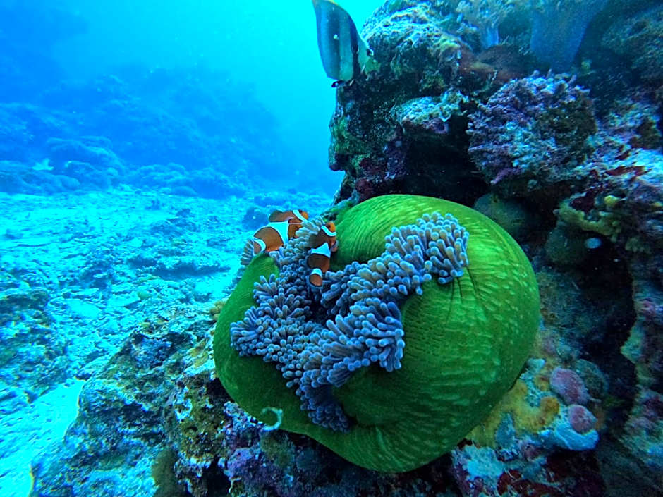 Good Viewing Spot B&B