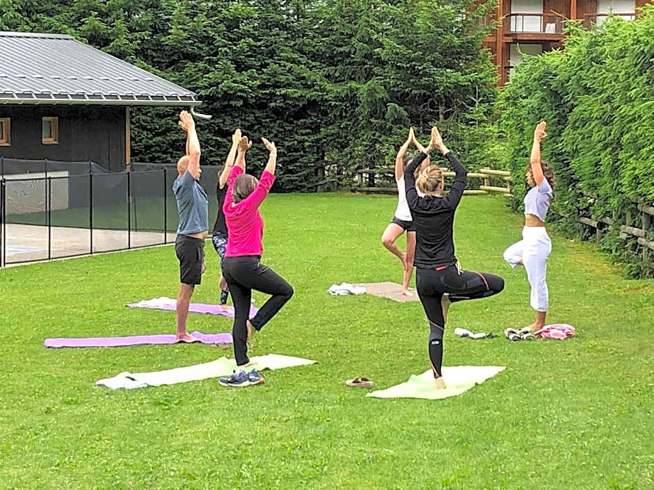 Chalet-Hôtel La Chemenaz