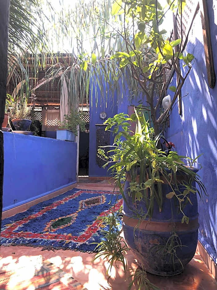 Riad Alamine