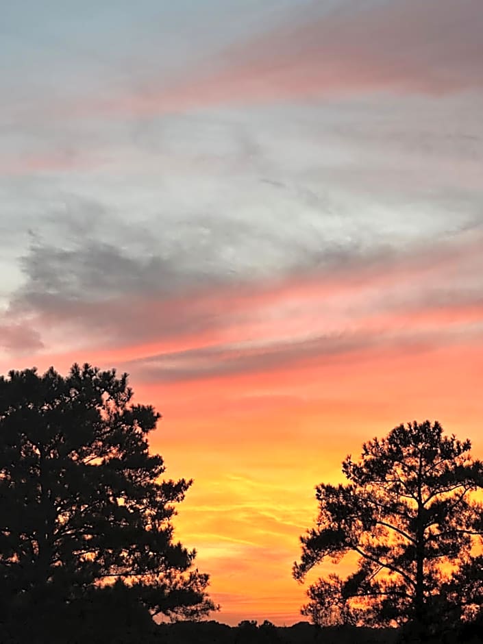 La Quinta Inn By Wyndham Columbia NE / Fort Jackson
