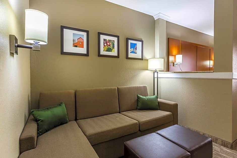 Comfort Suites University