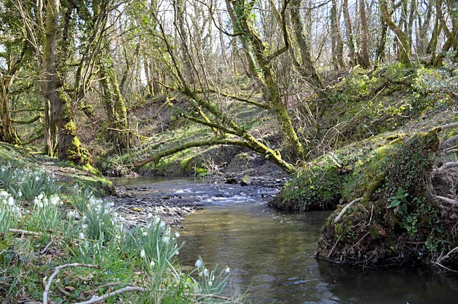 Troedyrhiw Bed & Breakfast