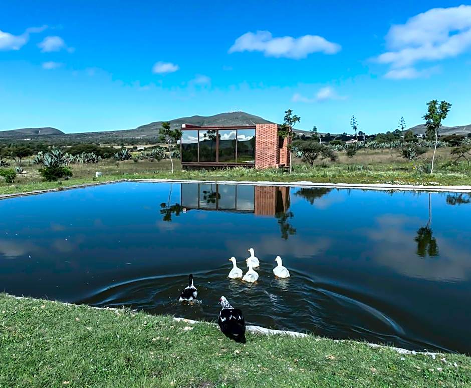 Mineral del Cielo