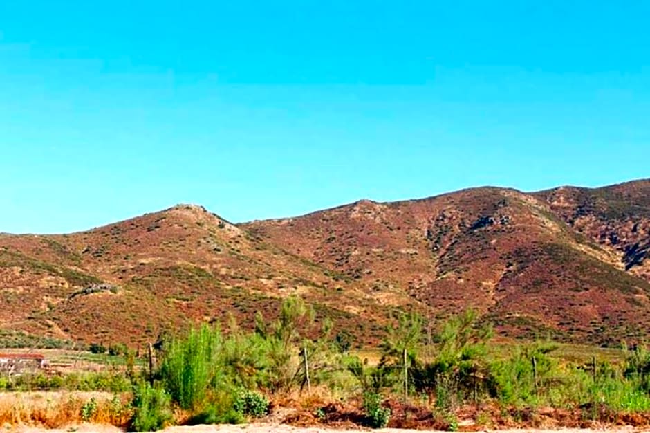 Quintas Marlet en la ruta del vino