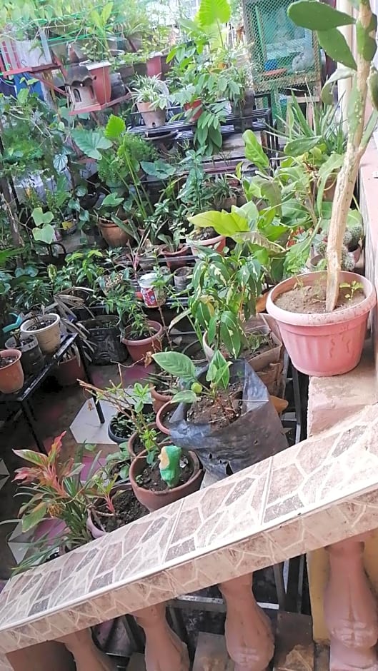 Two-Hearts Dormitory