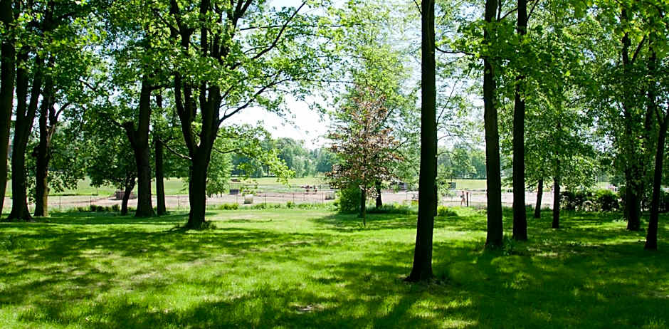 Zámek Jeseník Nad Odrou