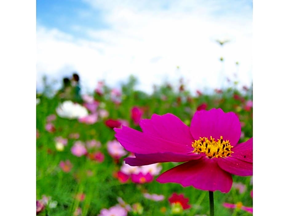 Hotel Silk in Madarao - Vacation STAY 79648v