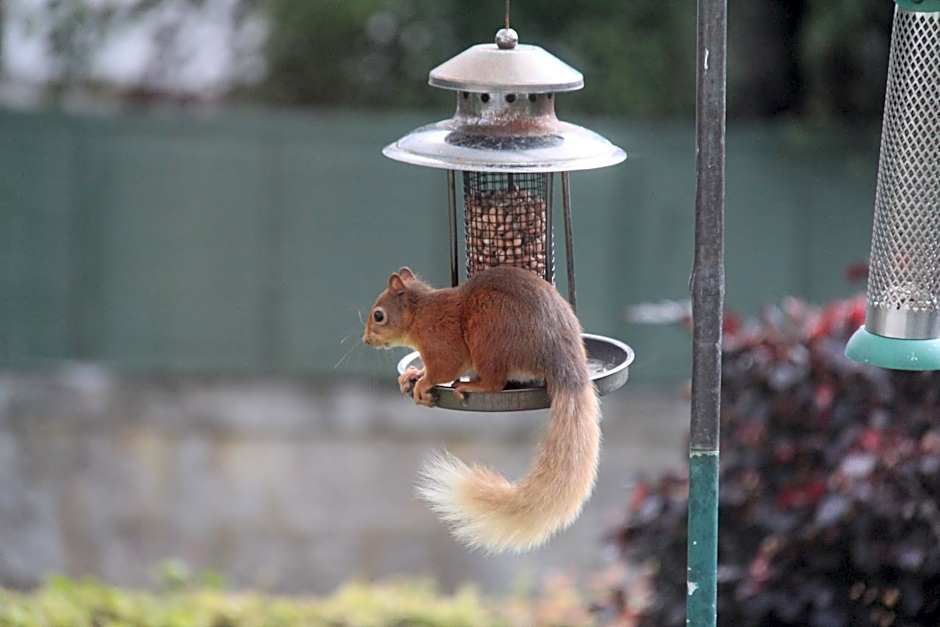 Cranford Guest House