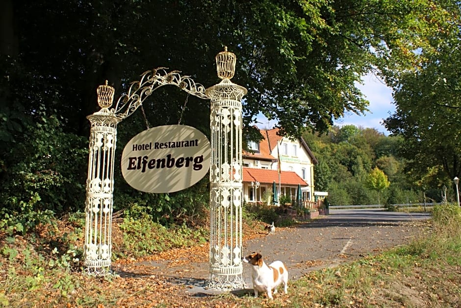 Hotel Elfenberg