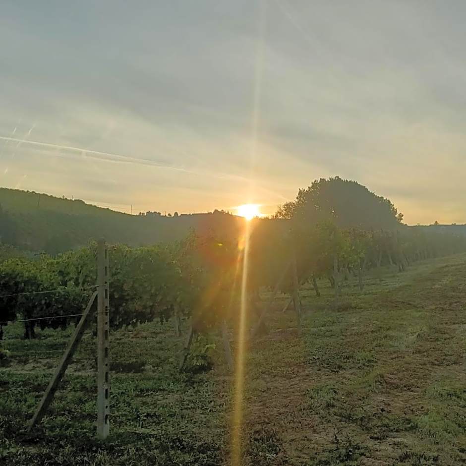 1929 Wine Food Relax Agriturismo