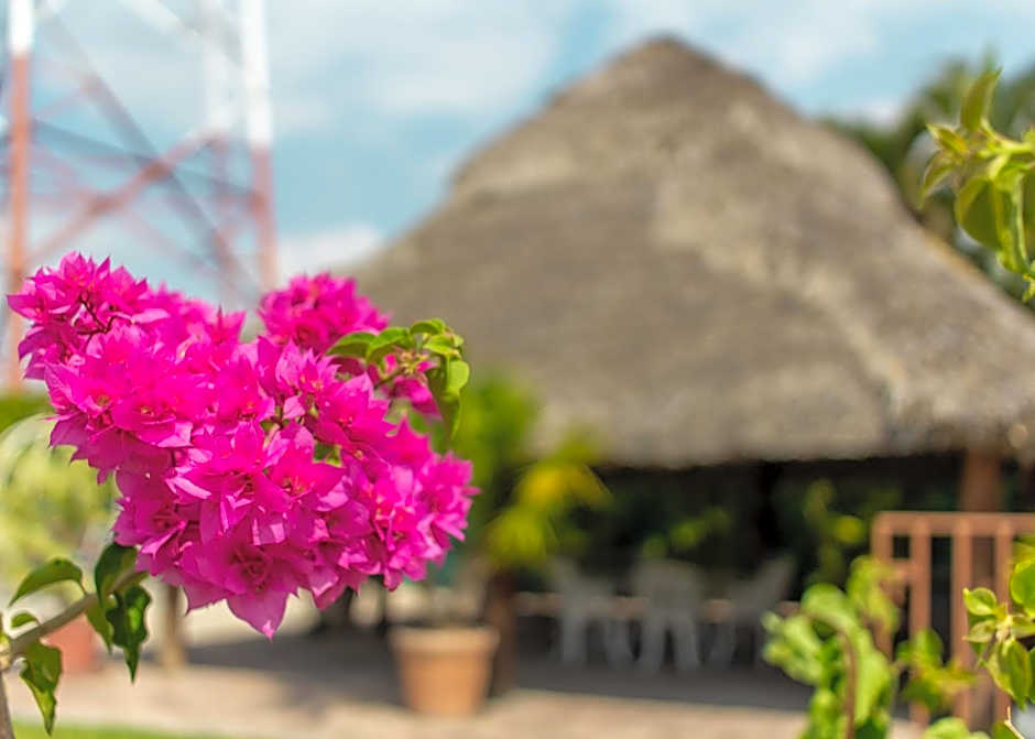 BONITTO INN® Gonzalez