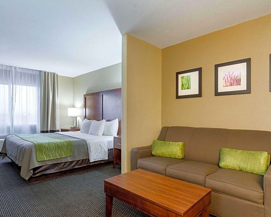 Comfort Inn Garden City