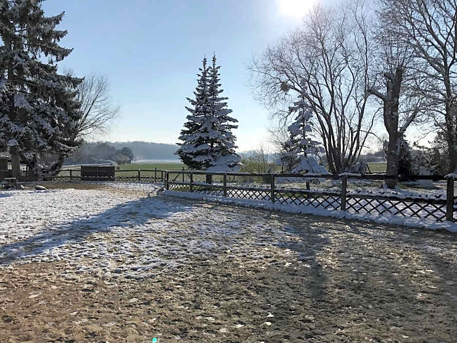 Les Crinieres En Brie