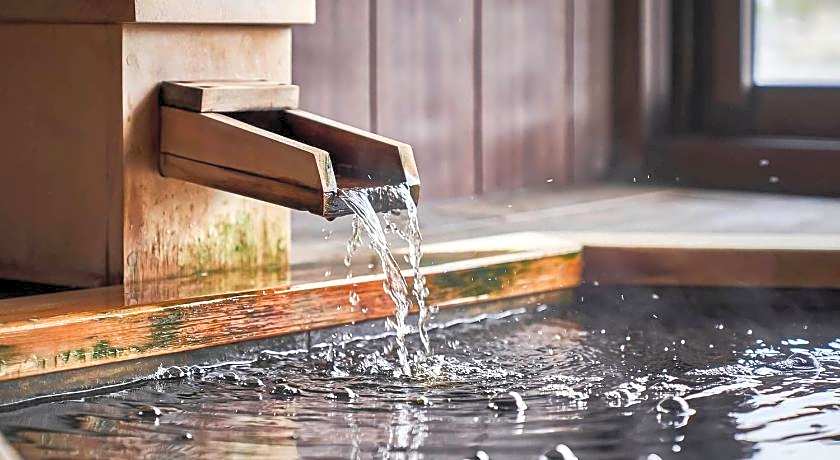 Kameyama Onsen Hotel