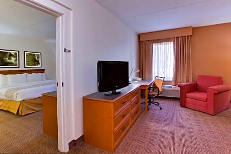 1 King Bed Suite Non-Smoking