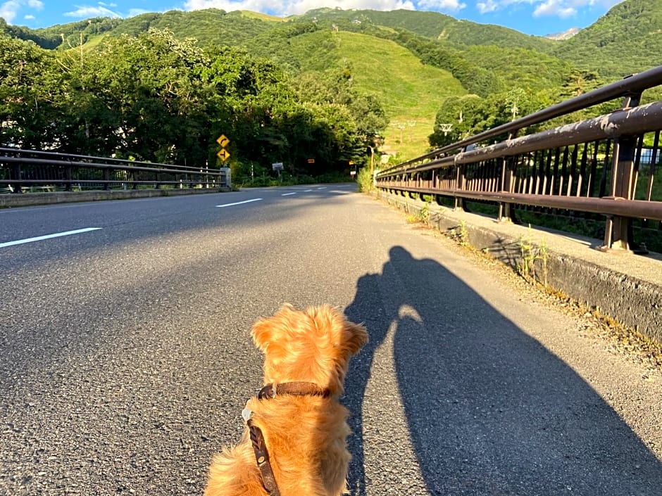 Hakuba Powder Mountain