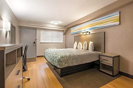 Studio King Room Non-Smoking