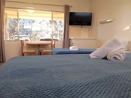 Standard Twin Room -- No Pet