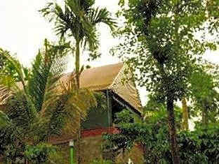 Grassroots Wayanad, Valley-View Tents