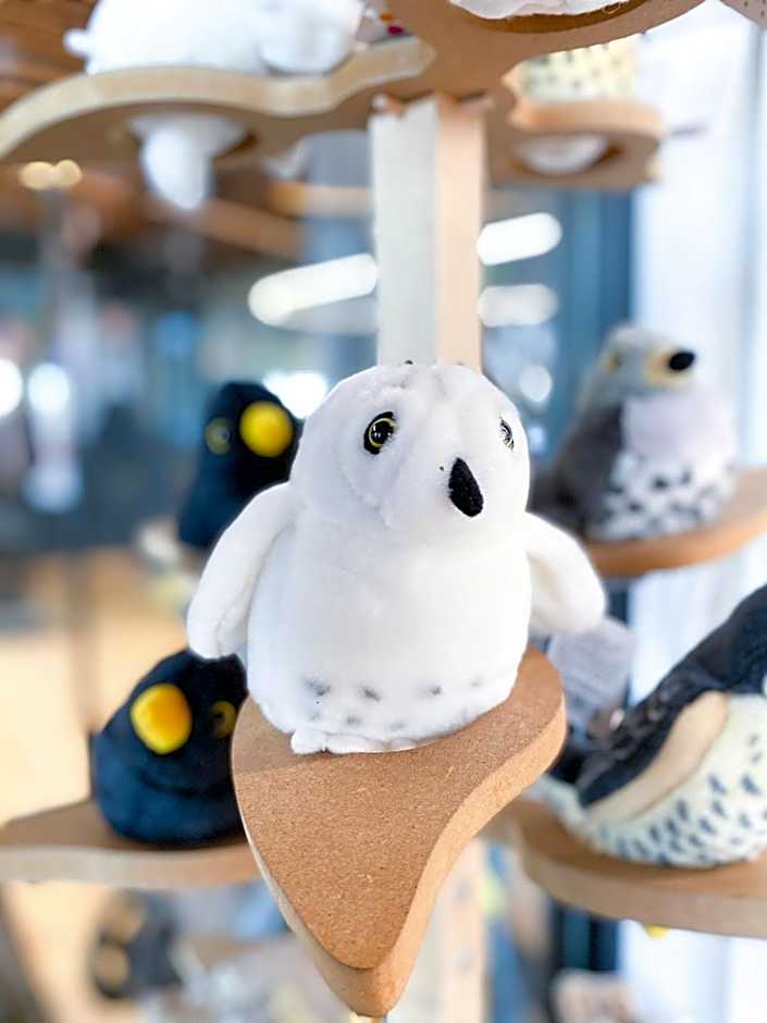 Hotelli Liminganlahti