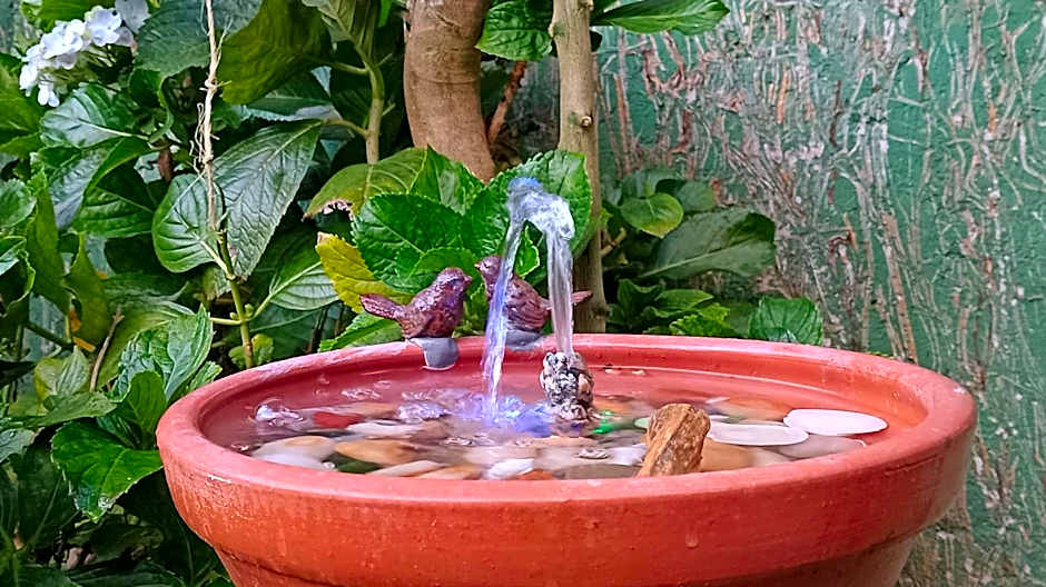 POUSADA GUEST HOUSE Zaua