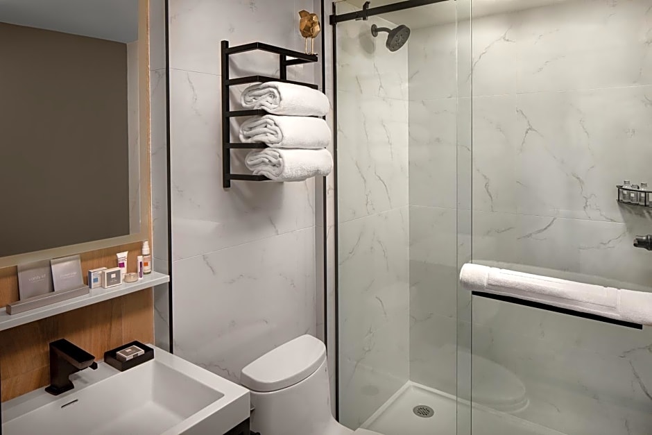 Hotel Indigo NYC Downtown - Wall Street, an IHG Hotel