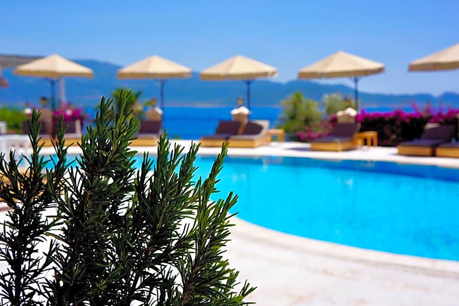 Villa Hotel Tamara