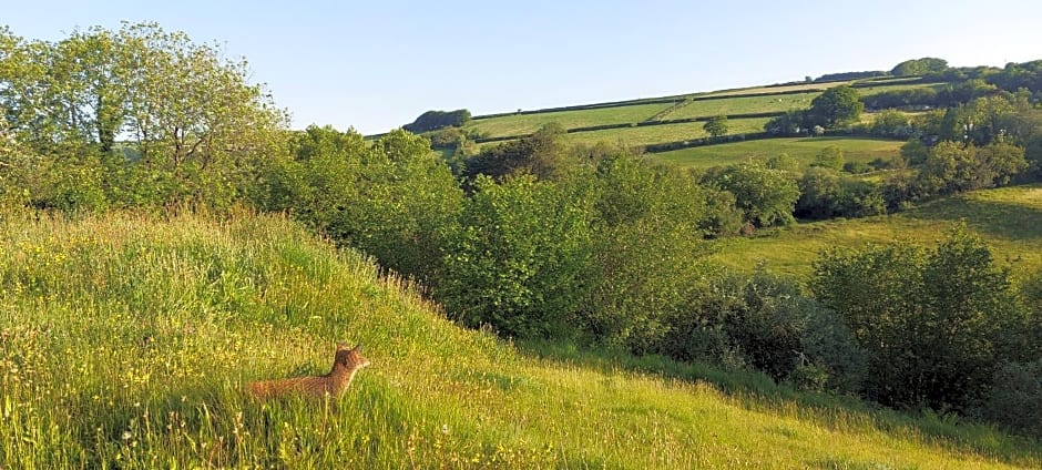 Highfield House, Parracombe, Modern B&B