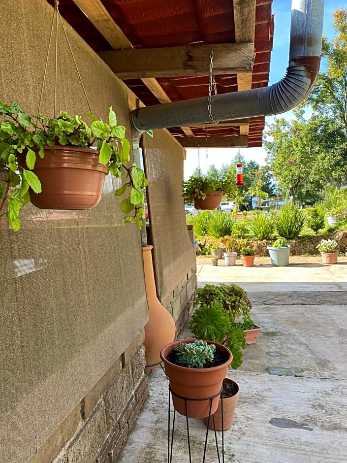 Cabañas Huerta la Mision, Zacatlán