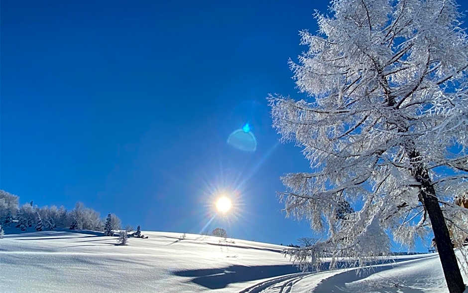 Nozawa View Hotel Shimataya