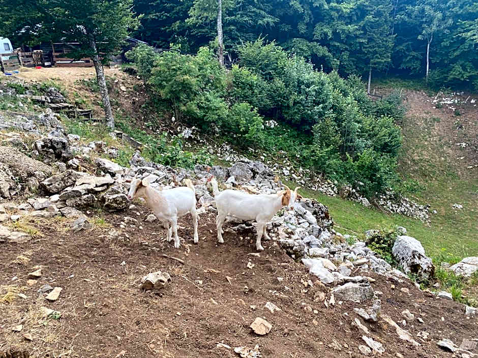 Antemurale - Luxury rooms,Plitvice Lakes