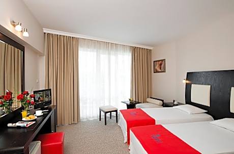 Single Room with Balcony