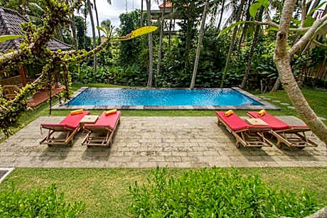 Buah Naga Sari Guest House