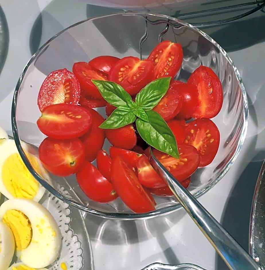 Hotel Villa Argentina