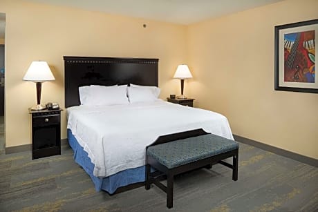 King Room with King Bed - Non-Smoking