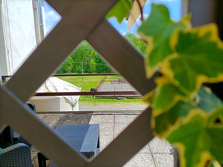 Favetto Family Ranch