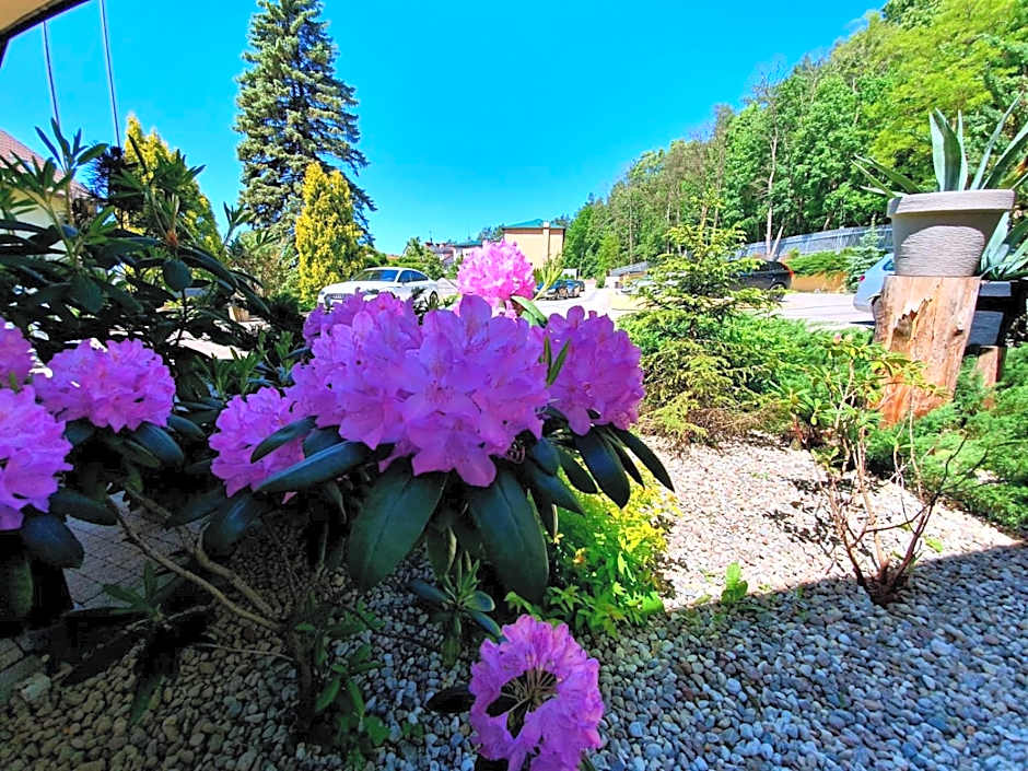 Hotel Mazuria Country & SPA