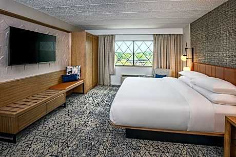 1 Bedroom Junior Suite, 1 King