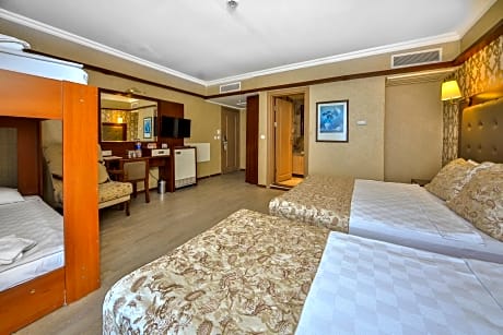 Classic Triple Room