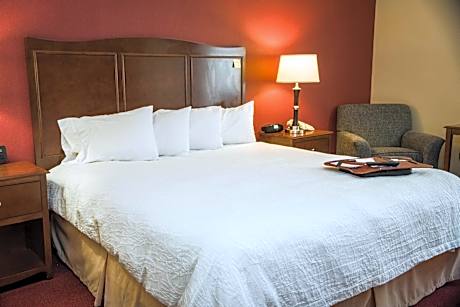 1 King Bed W/Microwv-Fridge Nonsmoking