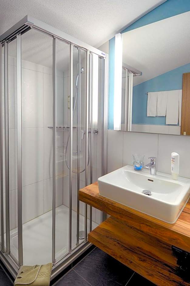 Hotel Restaurant Alpina