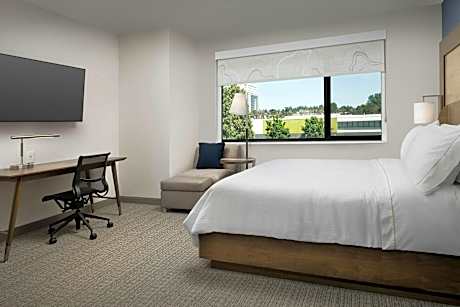 studio commons connector, guest room, 1 king, sofa bed, corner room